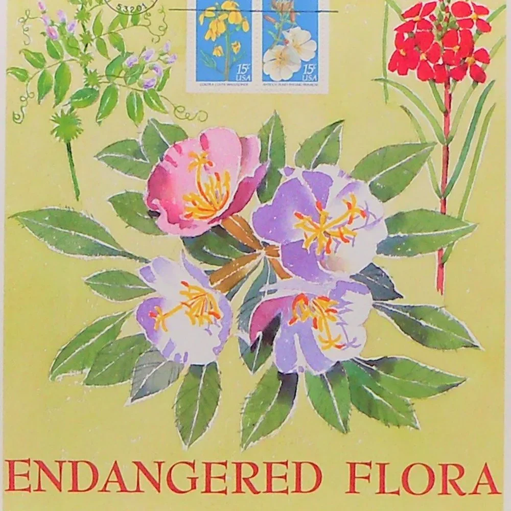 Endangered Flora Stamp Illustration Wall Decor
